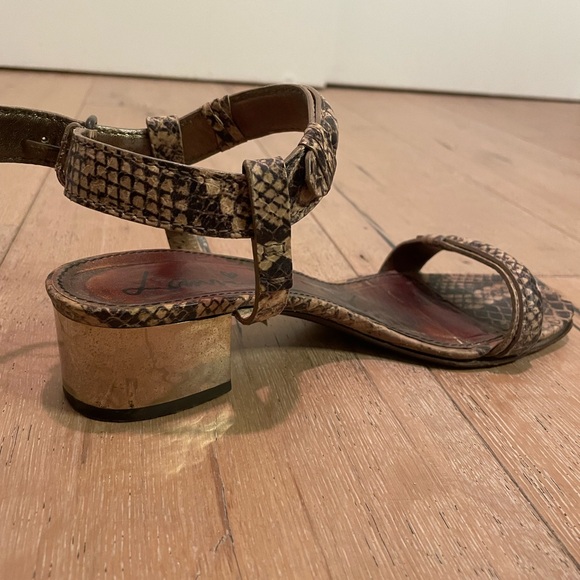 Lanvin Leather Snake Print with Gold Heel - Picture 4 of 6